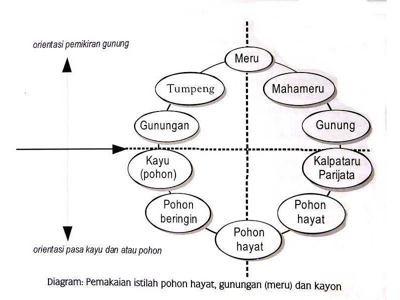 -mountain-tree relationship
